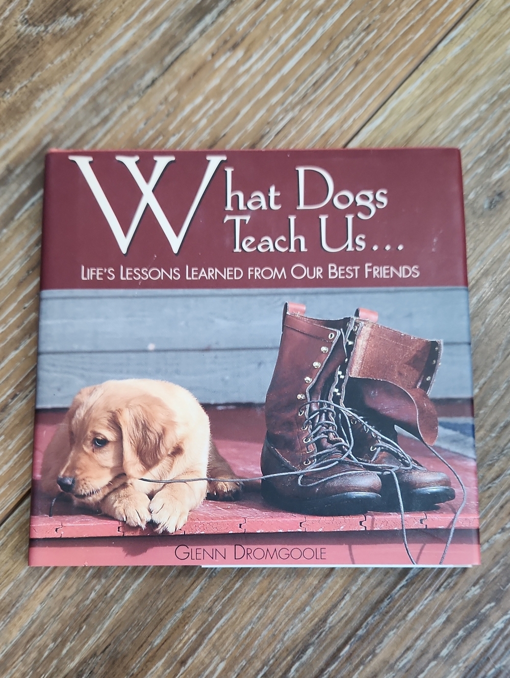 What Dogs Teach Us...Life Lessons Learned From Our Best Friends Book